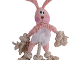 Adorable Pet Dog Toy