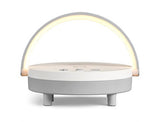 Swiss Cougar Anchorage Multifunction Night Light