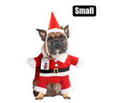 SANTA CHRISTMAS OUTFIT FOR YOUR PET DOG