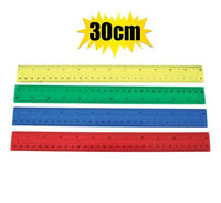 RULER PALSTIC 30CM