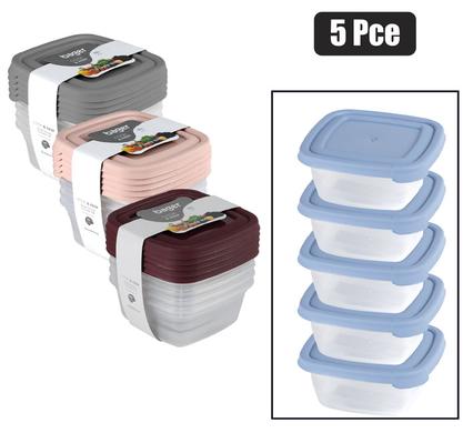 PLASTIC CONTAINER SET ECO-FRESH 250ml SQUARE 5PC