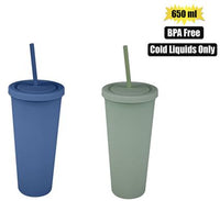 QUENCH DOUBLE WALL DRINKWARE 650ML BPA FREE