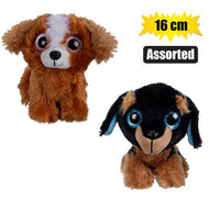 CUTE BIG EYES PUPPY