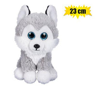 CUTE BIG EYES HUSKY TEDDY