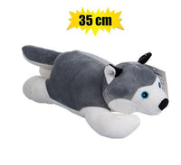 CUTE LOVABLE SOFT HUSKY TEDDY 35CM