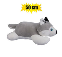 CUTE LOVABLE HUSKY TEDDY 50CM