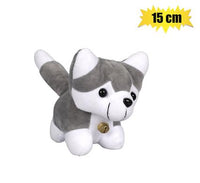 AWW SO CUTE PUPPY TEDDY