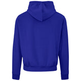 Little Legend Hooded Sweater
