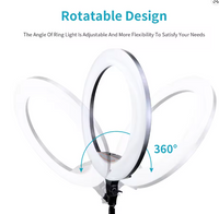 Nesty 18 Inch Multipurpose Electric Powered RGB LED Ring