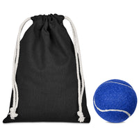 Pawsome Pet Ball