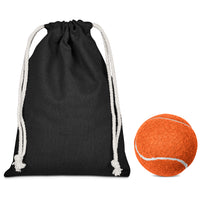 Pawsome Pet Ball