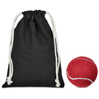 Pawsome Pet Ball