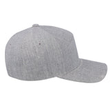 Horizon Curved Peak Snapback Cap