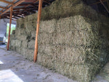 LUCERNE FOR SALE