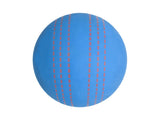 Multi-Purpose Fun Ball