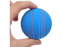 Multi-Purpose Fun Ball