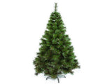 Evergreen Christmas Tree