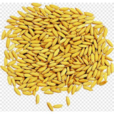 Paddy Rice 1kg