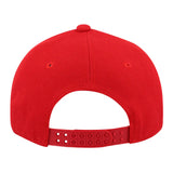 Horizon Curved Peak Snapback Cap