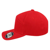 Horizon Curved Peak Snapback Cap