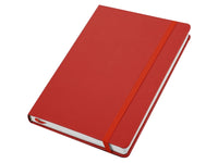 Satis Notebook