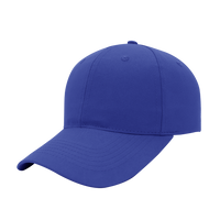 6 Panel Promo Cap