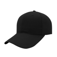 6 Panel Promo Cap