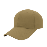 6 Panel Promo Cap