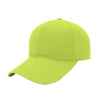 6 Panel Promo Cap