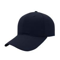 6 Panel Promo Cap