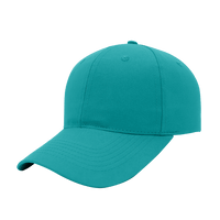 6 Panel Promo Cap