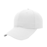 6 Panel Promo Cap