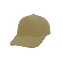 5 Panel Promo Cap