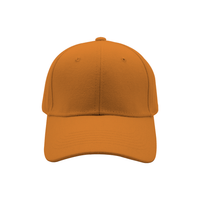 6 Panel Brushed Cotton Cap