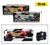 Battery Operated RC Fast Car 25cm