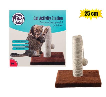 Cat Activity Station